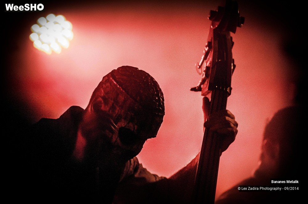 13/15 photos du spectacle Banane Metalik