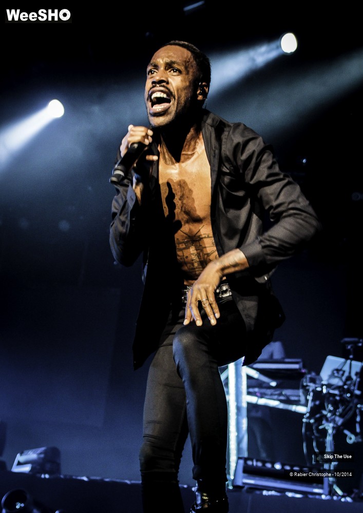 24/51 photos du spectacle Skip The Use