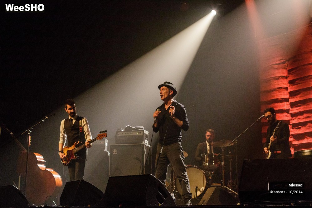1/41 photos du spectacle Miossec