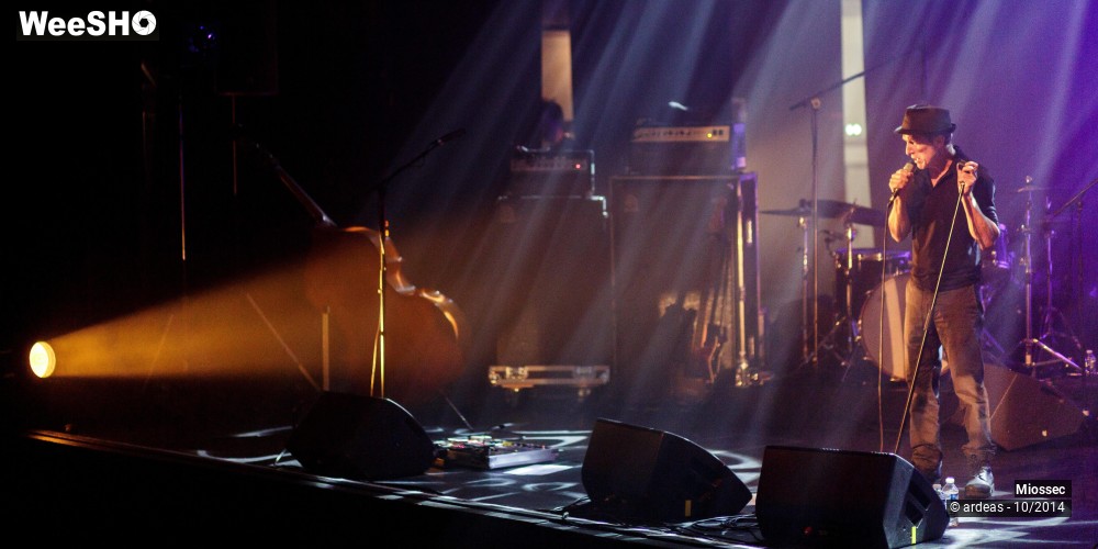 20/41 photos du spectacle Miossec
