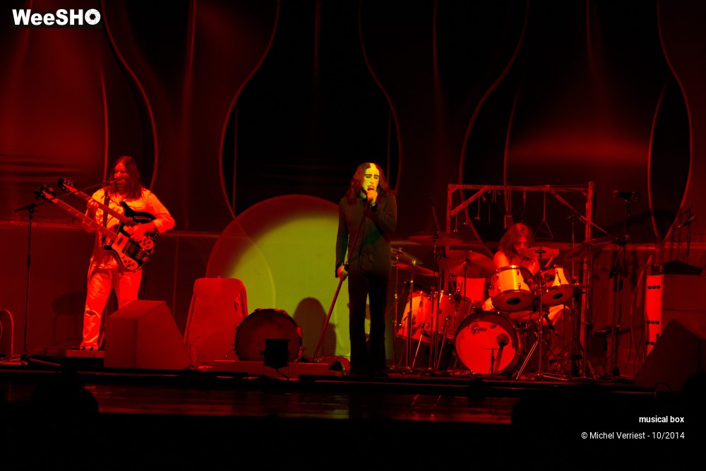 14/28 photos du spectacle Musical box