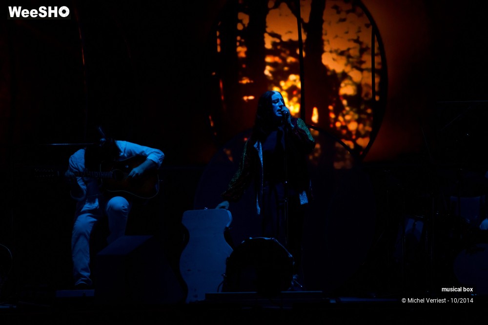 24/28 photos du spectacle Musical box
