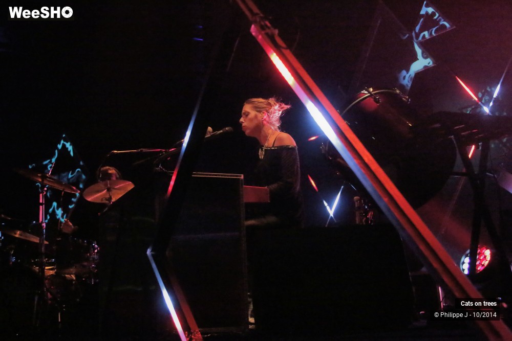 8/30 photos du spectacle Cats on trees