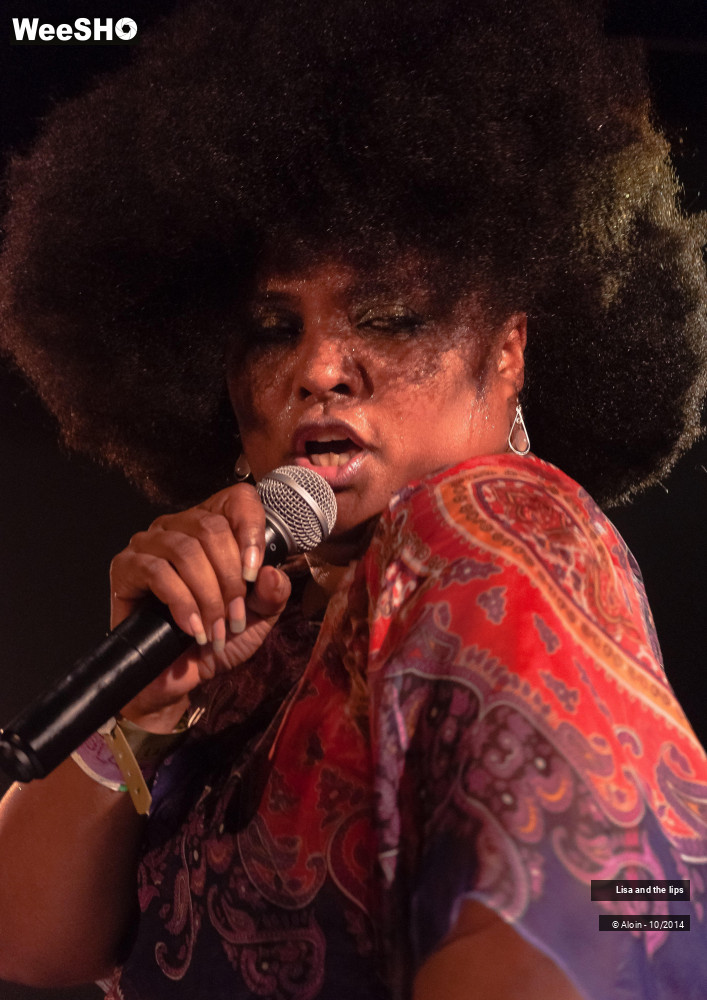 15/36 photos du spectacle Lisa and the lips