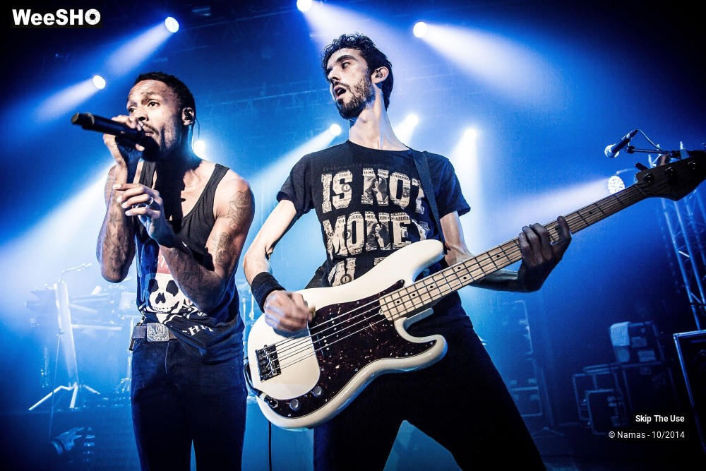 2/50 photos du spectacle Skip The Use