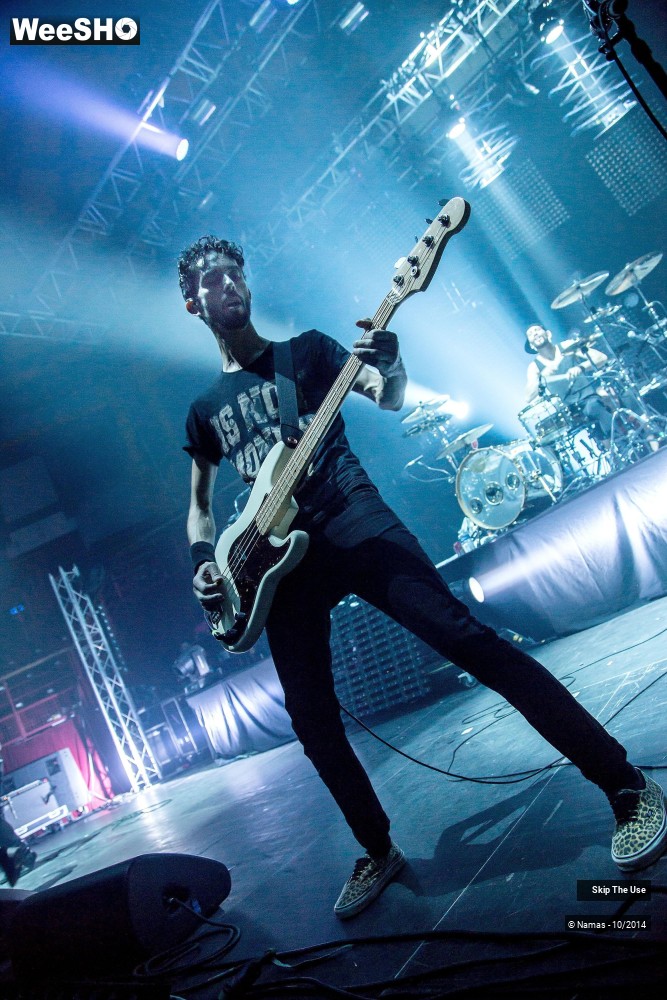5/50 photos du spectacle Skip The Use