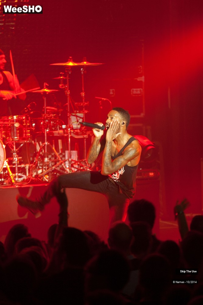 7/50 photos du spectacle Skip The Use