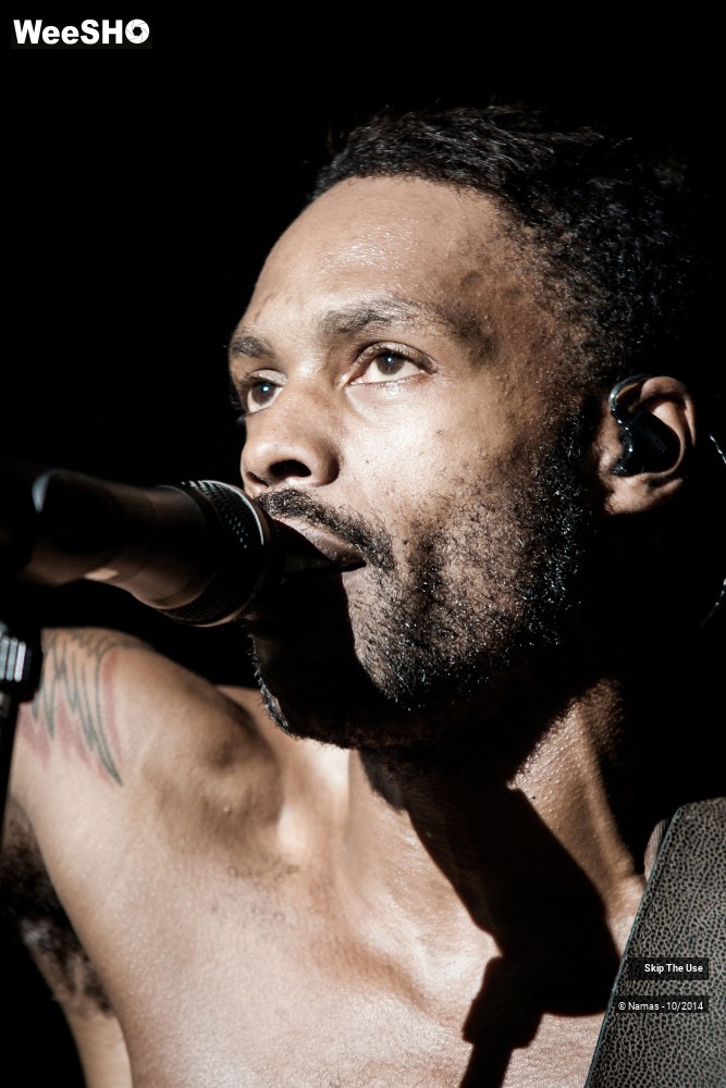 8/50 photos du spectacle Skip The Use