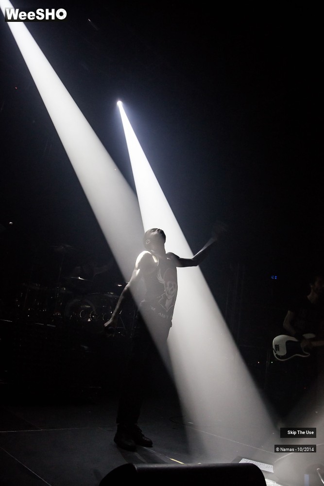 9/50 photos du spectacle Skip The Use