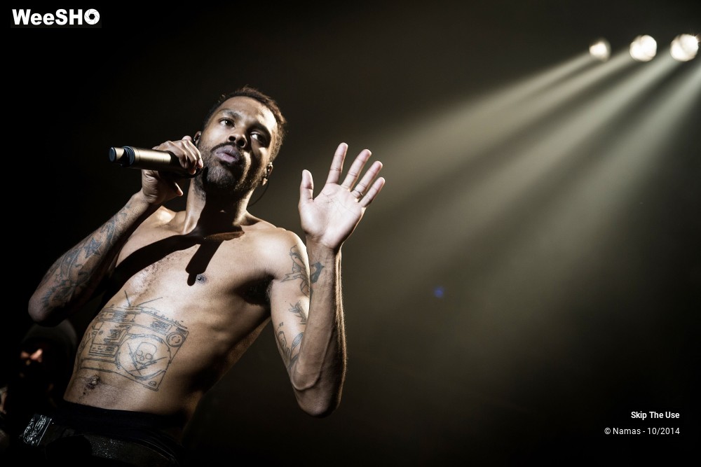 13/50 photos du spectacle Skip The Use