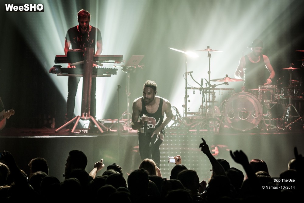 14/50 photos du spectacle Skip The Use