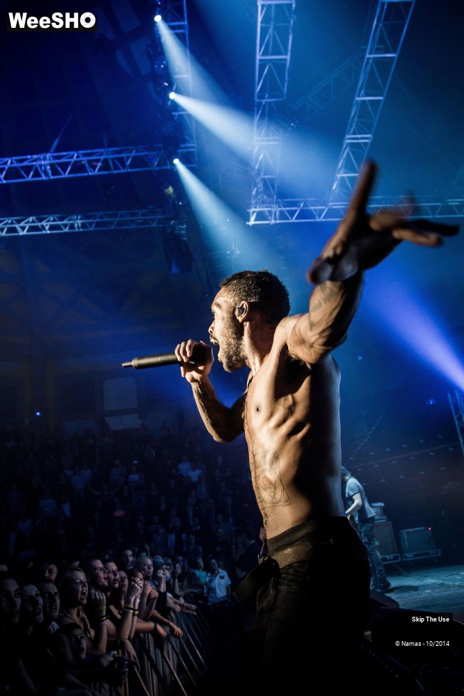 15/50 photos du spectacle Skip The Use