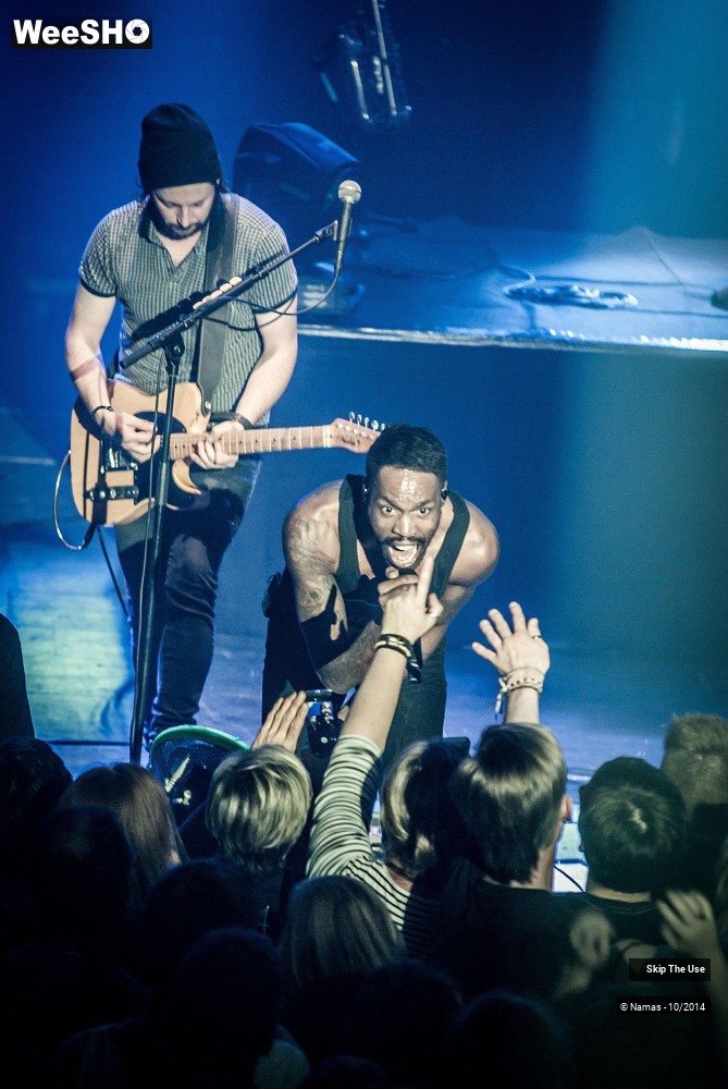 17/50 photos du spectacle Skip The Use