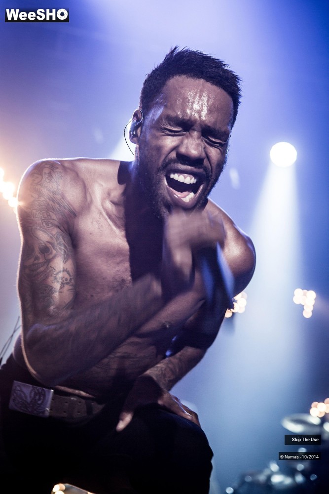 20/50 photos du spectacle Skip The Use