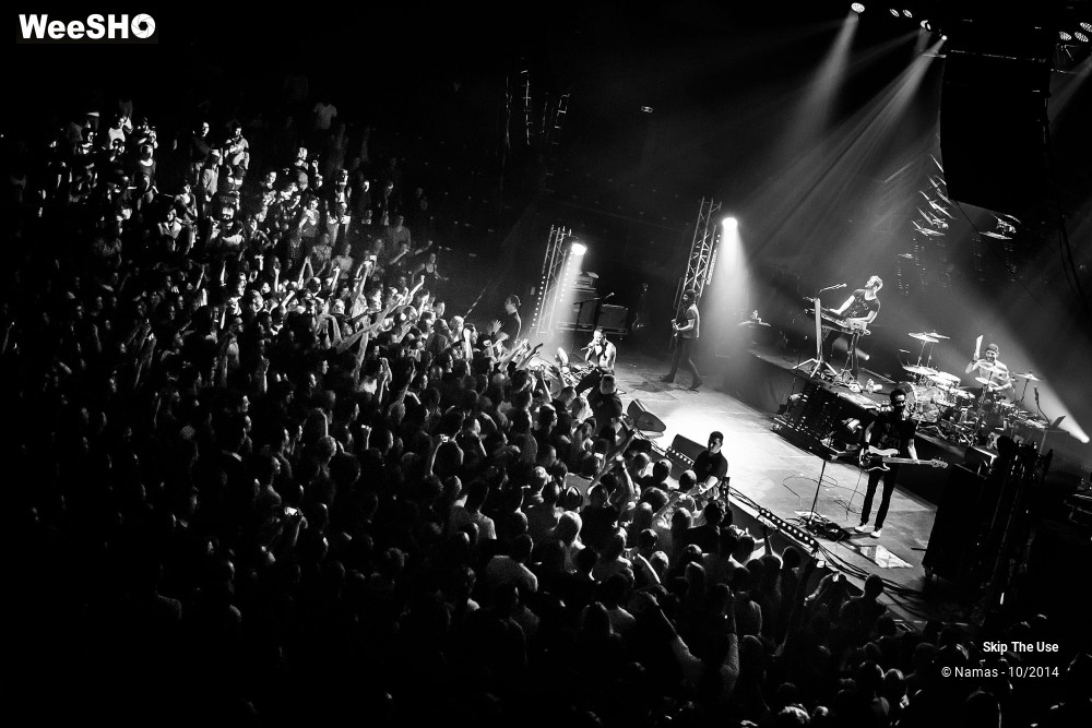24/50 photos du spectacle Skip The Use