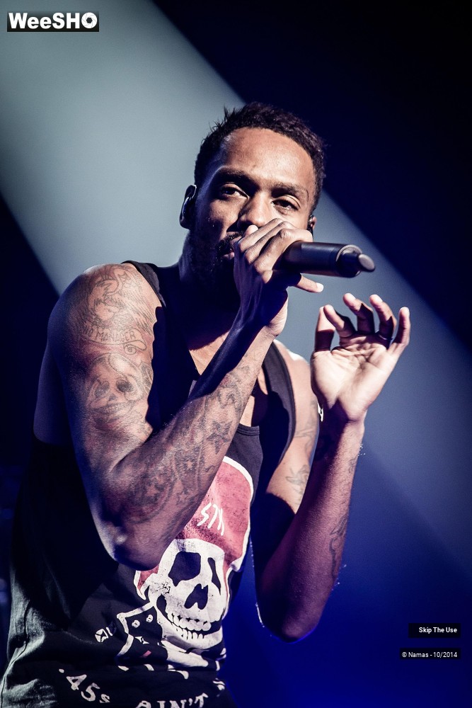26/50 photos du spectacle Skip The Use