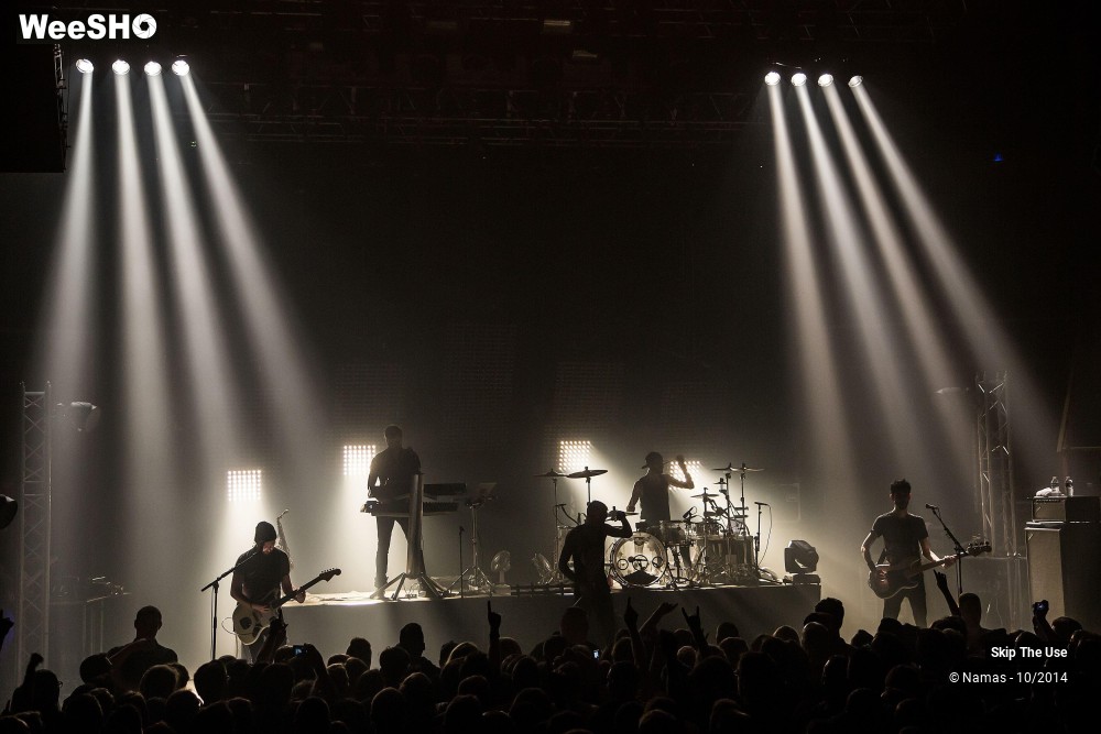 27/50 photos du spectacle Skip The Use