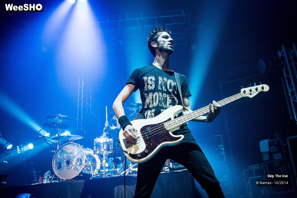 33/50 photos du spectacle Skip The Use