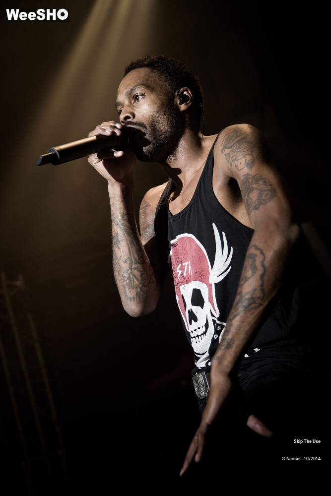 36/50 photos du spectacle Skip The Use