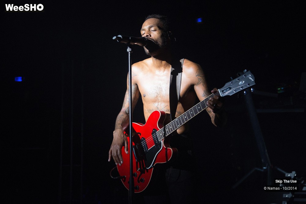 41/50 photos du spectacle Skip The Use