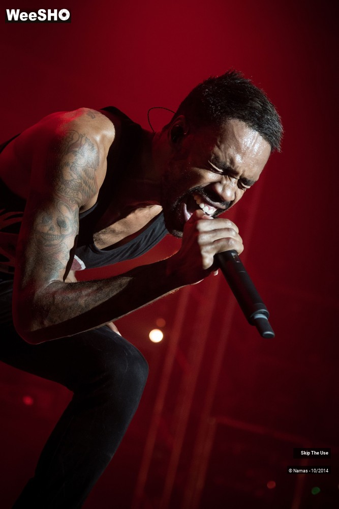 42/50 photos du spectacle Skip The Use