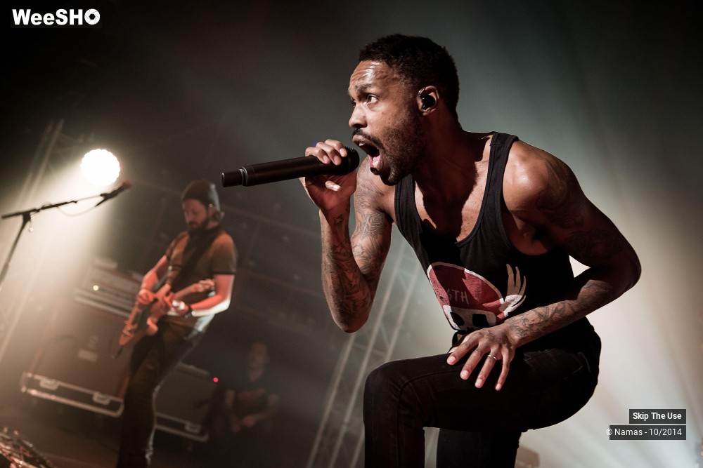 46/50 photos du spectacle Skip The Use