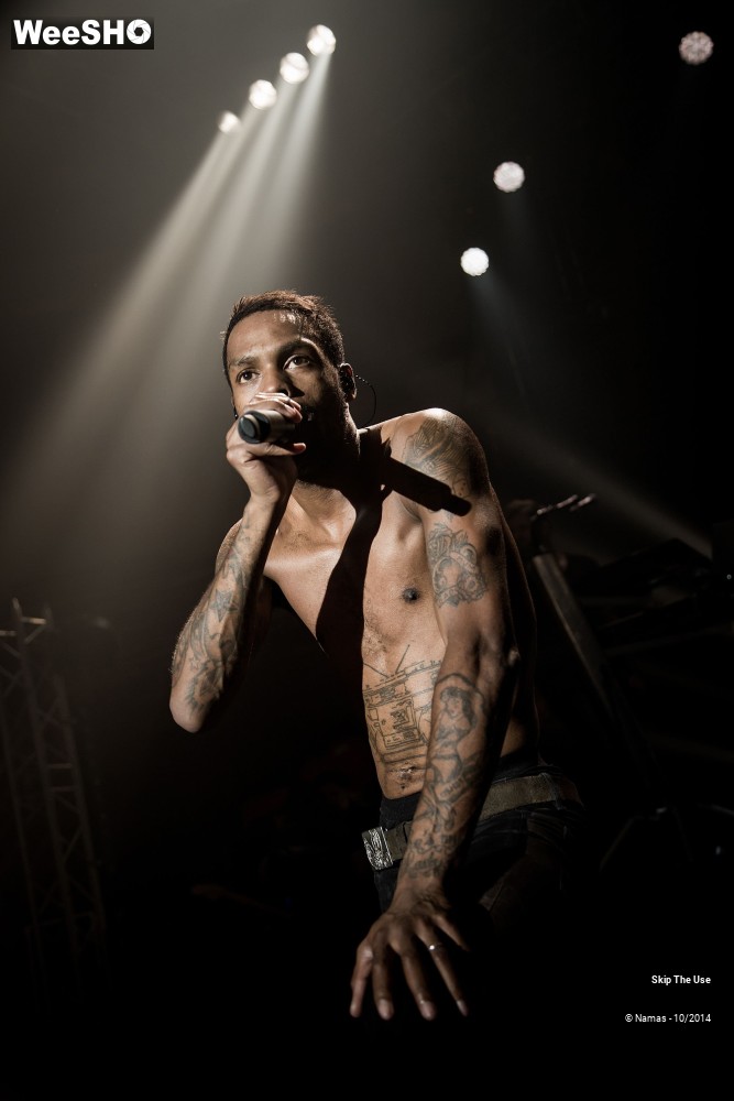 48/50 photos du spectacle Skip The Use