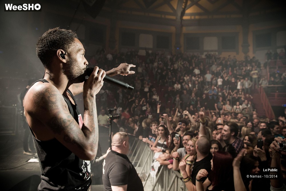 14/22 photos du spectacle Ambiance Skip The Use