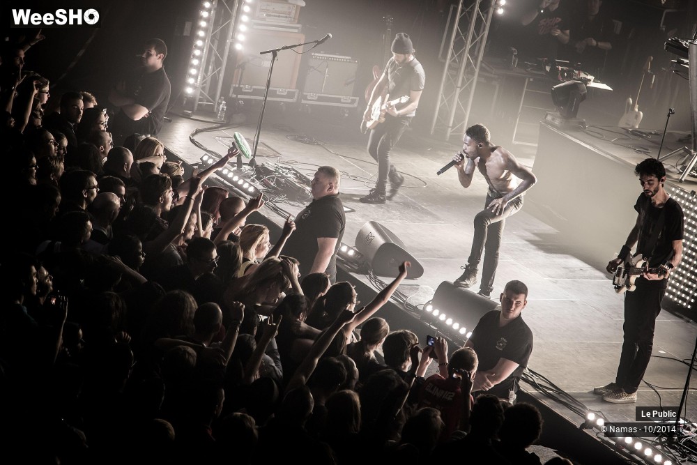 16/22 photos du spectacle Ambiance Skip The Use