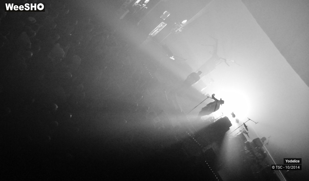 19/26 photos du spectacle Yodélice