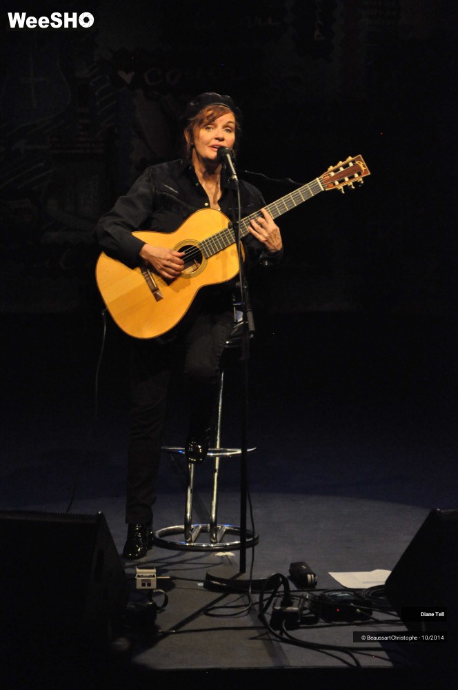 2/31 photos du spectacle Diane Tell
