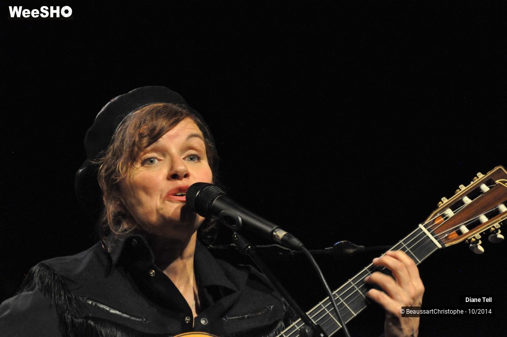 3/31 photos du spectacle Diane Tell