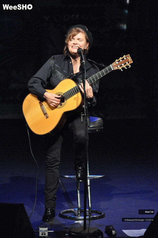 4/31 photos du spectacle Diane Tell