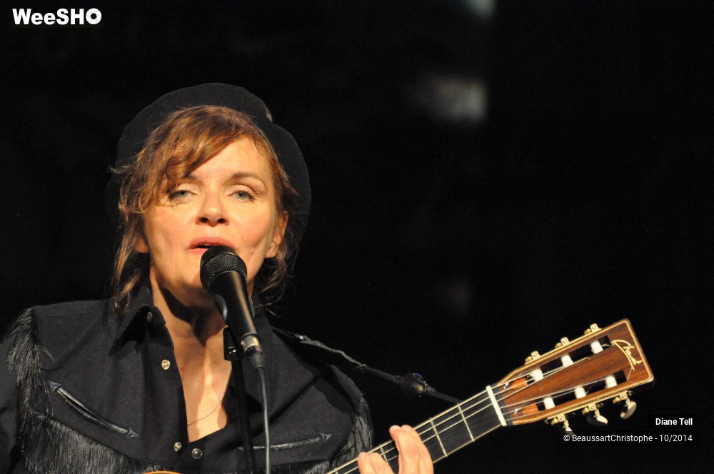 5/31 photos du spectacle Diane Tell