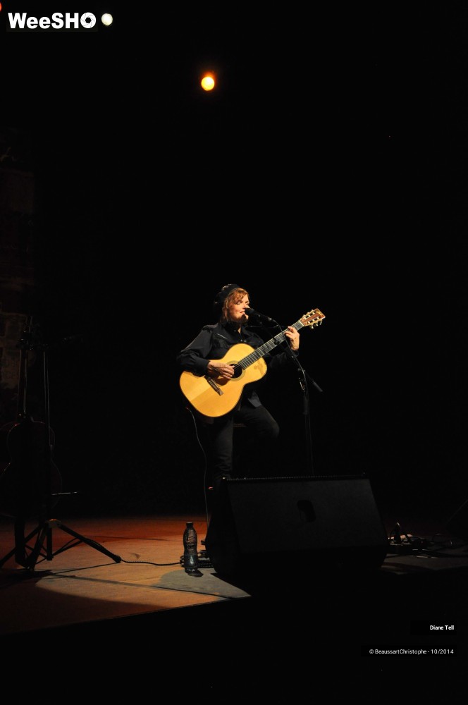 6/31 photos du spectacle Diane Tell