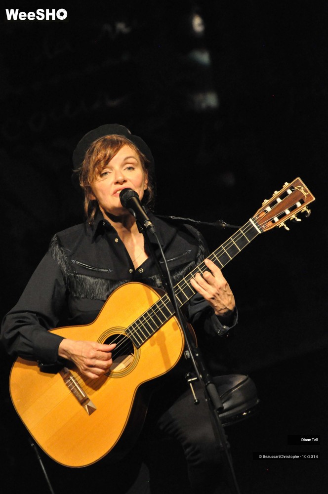 7/31 photos du spectacle Diane Tell