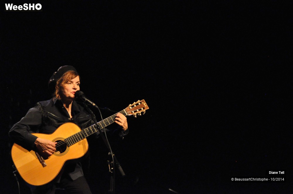 11/31 photos du spectacle Diane Tell