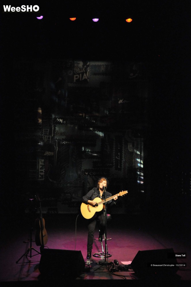 12/31 photos du spectacle Diane Tell