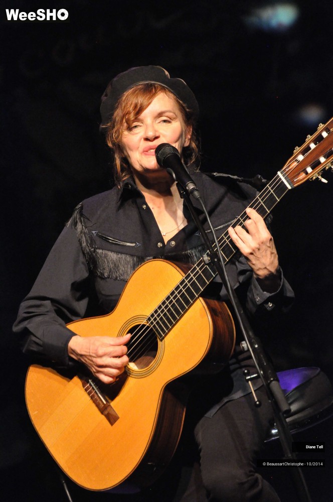 14/31 photos du spectacle Diane Tell