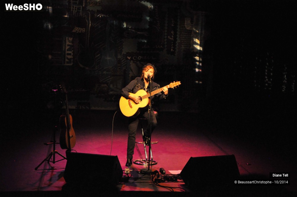 16/31 photos du spectacle Diane Tell