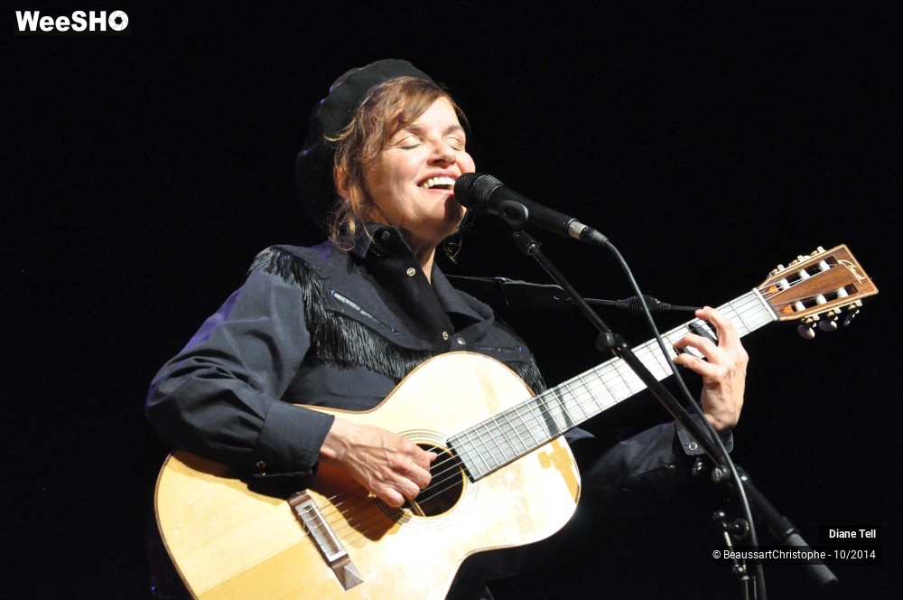 17/31 photos du spectacle Diane Tell
