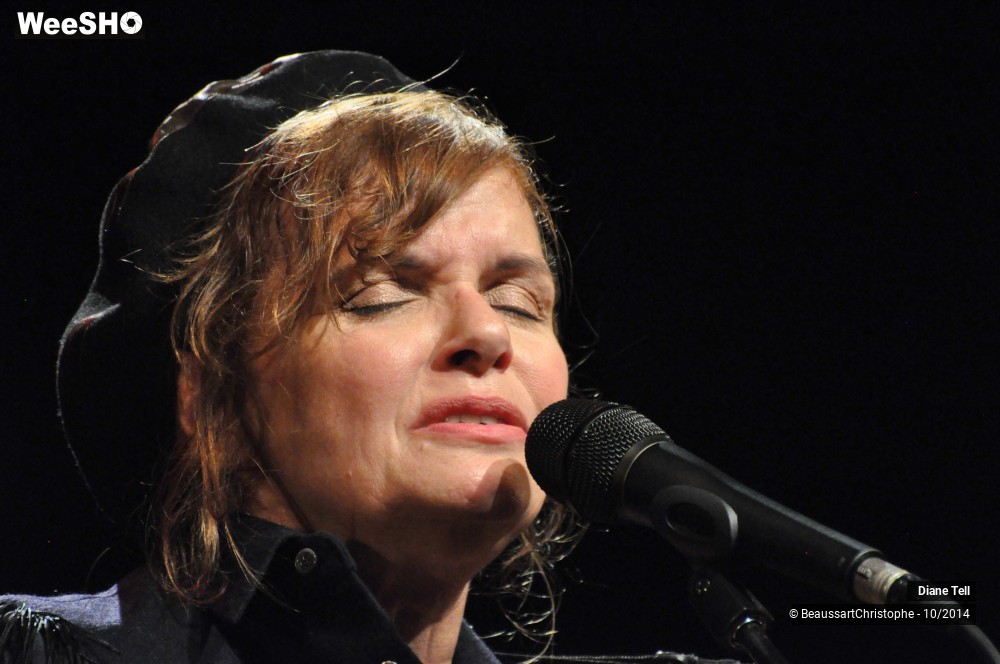 18/31 photos du spectacle Diane Tell