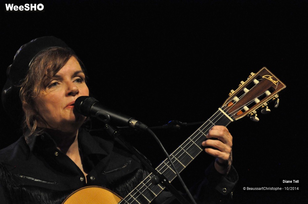 20/31 photos du spectacle Diane Tell