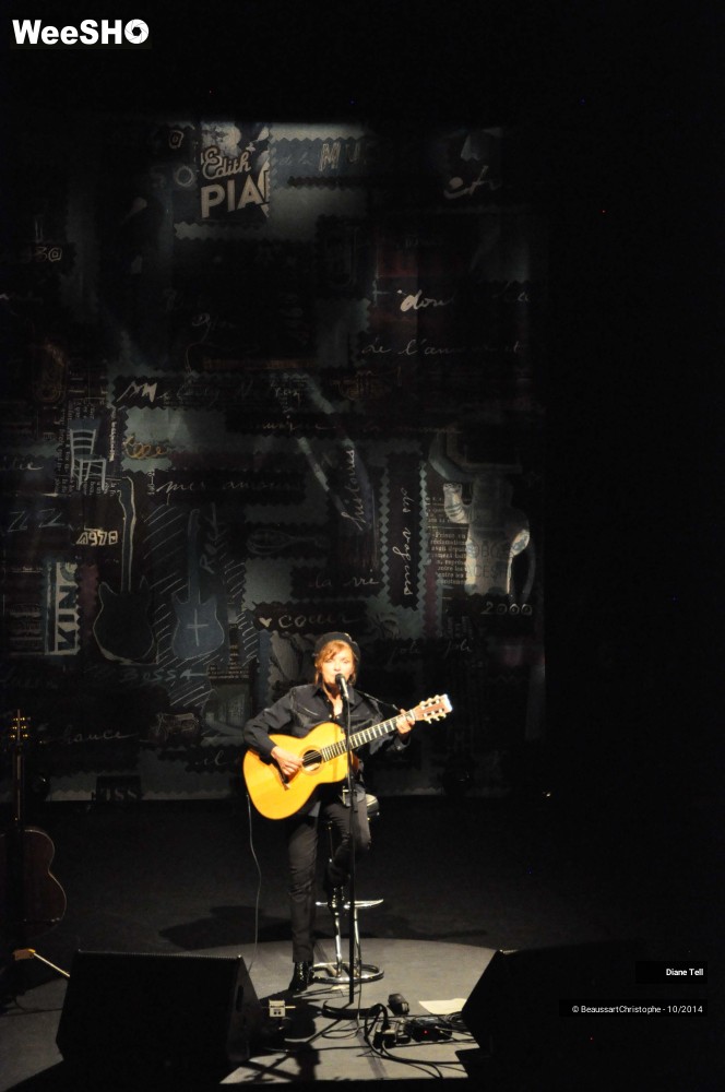 22/31 photos du spectacle Diane Tell
