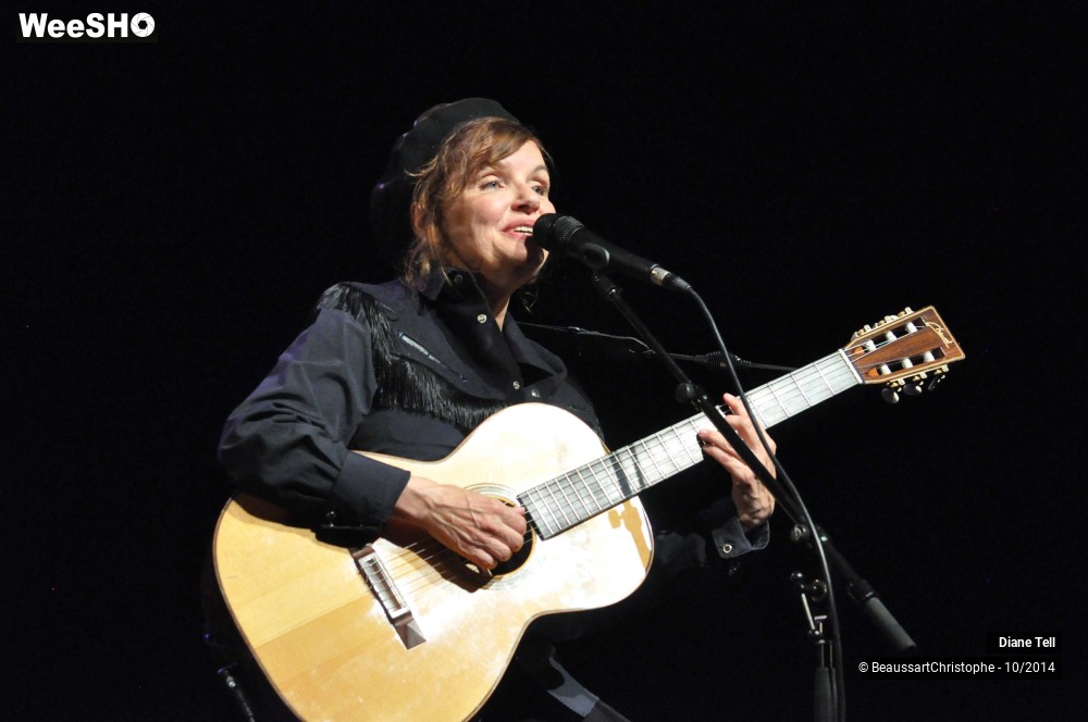 23/31 photos du spectacle Diane Tell