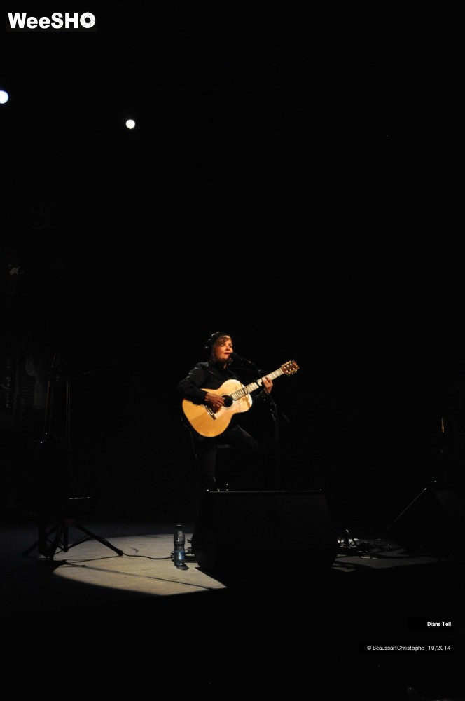24/31 photos du spectacle Diane Tell