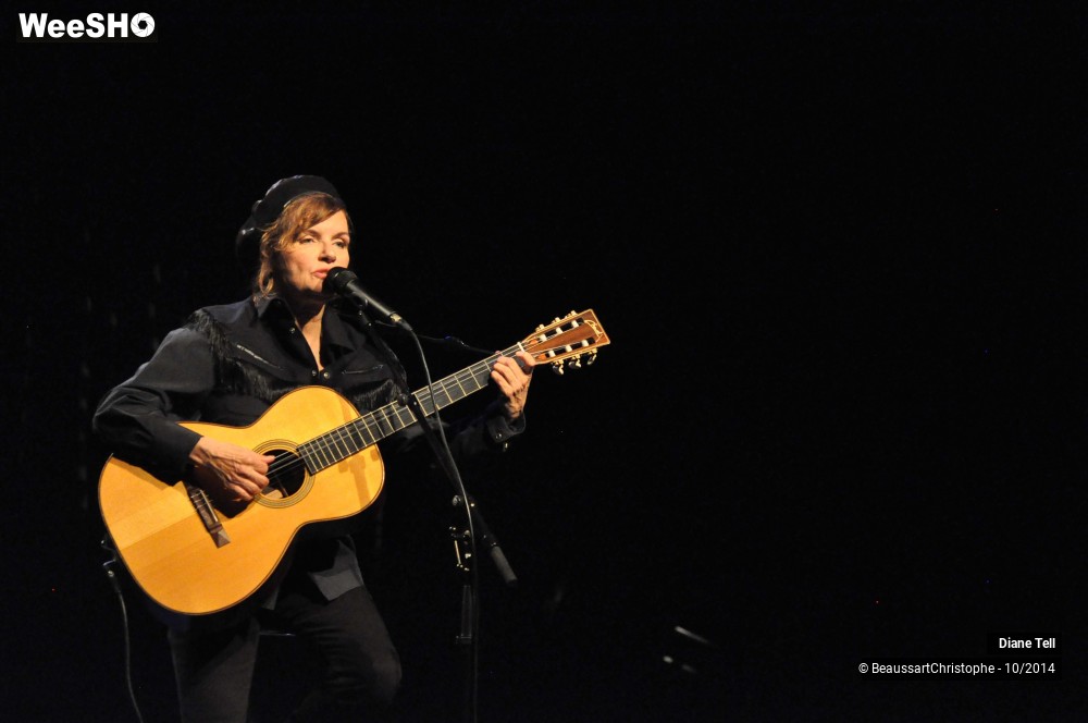 25/31 photos du spectacle Diane Tell