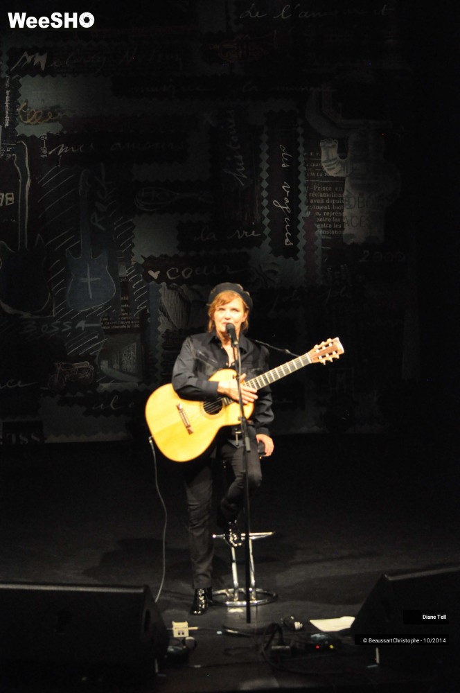 26/31 photos du spectacle Diane Tell