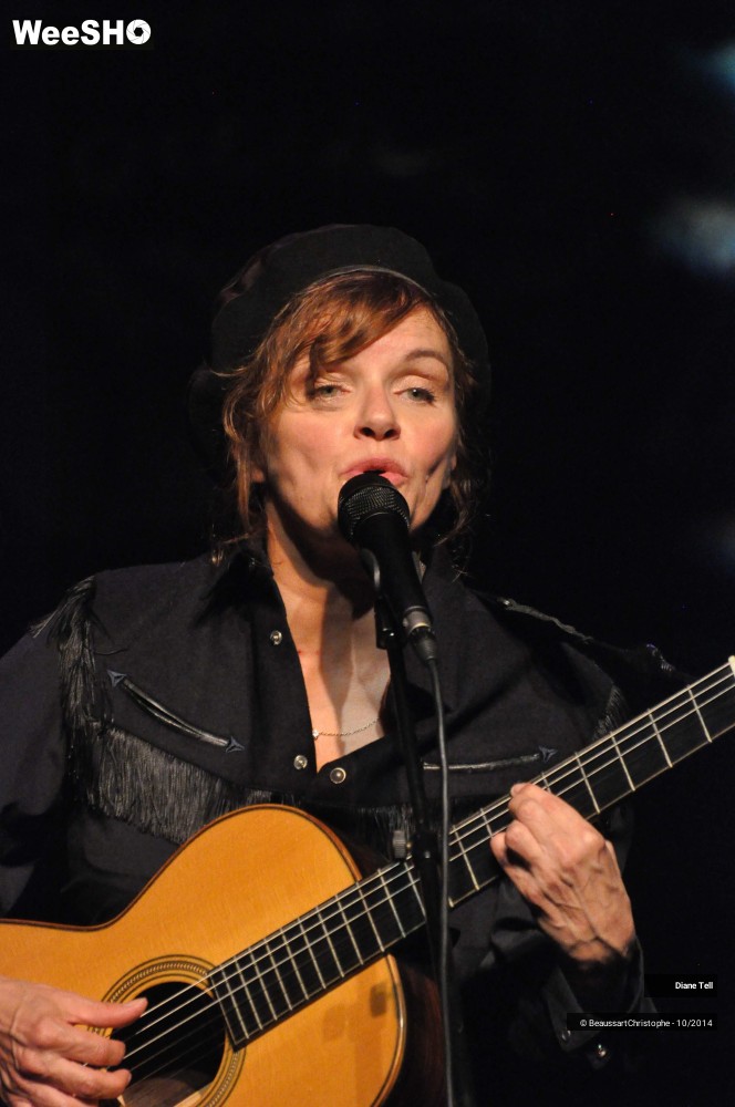 27/31 photos du spectacle Diane Tell