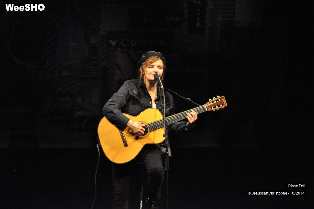 30/31 photos du spectacle Diane Tell